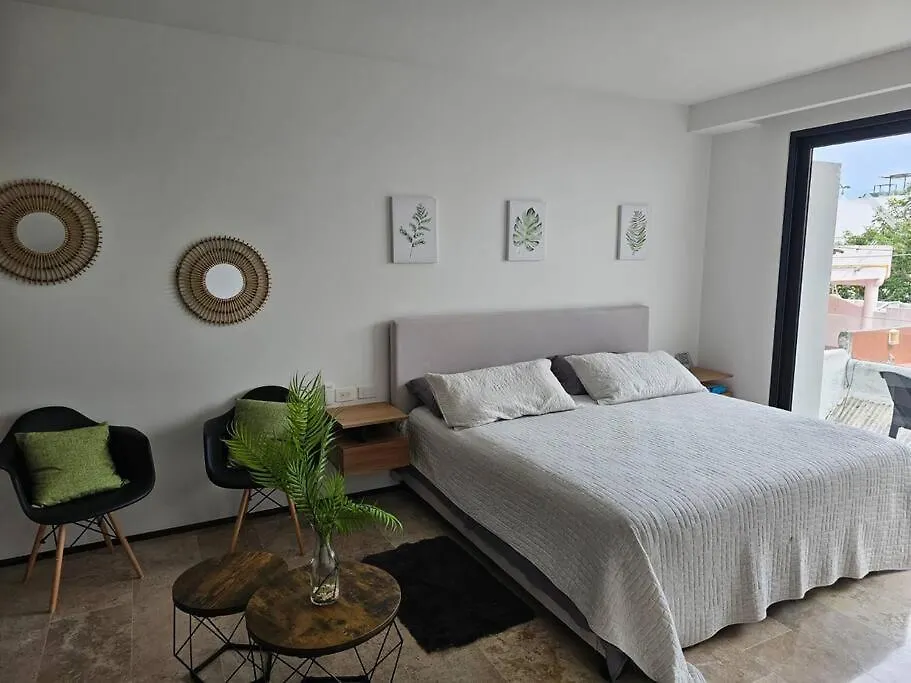 Departamento Quinta Avenida Apartment Playa del Carmen