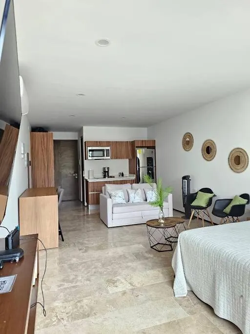Apartmán Departamento Quinta Avenida Playa del Carmen